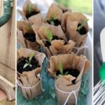 10 садових хитрощів для усіх, хто живе в приватному будинку!