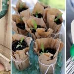 10 садових хитрощів для усіх, хто живе в приватному будинку!