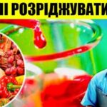 Досвідчений лікар: 8 продуктів, що розріджують кров. Дізнайся, як запобігти появі згустків і прожити довге життя!