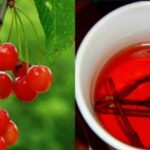 Гілочки вишні – це лікувальна бомба для здоров’я
