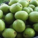 Зелені горіхи корисні для здоров’я і краси, ось рецепт цілющої олії.