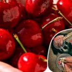 Їжа як ліки: 20 натуральних знеболюючих засобів на вашій кухні. Особливу увагу потрібно приділяти їжі під час хвороби!