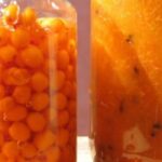 Як правильно приготувати обліпиху з медом для сильного ефекту