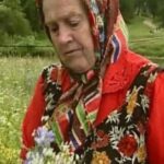 Вживайте 3 “бур’яну”, які допомагають відновити хрящі й кістки. Ось вони