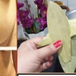 Відваріть 3 лаврові листки у воді з корицею: спробуйте 5000-літню методику очищення кишечника