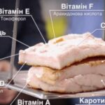 САЛО ЗАМІСТЬ ТАБЛЕТОК: ЛІКУЄ БРОНХІТ, ОЧИЩУЄ ПЕЧІНКУ, ОЗДРОВЛЮЄ ЖОВЧНИЙ, ПРОГАНЯЄ ОСТЕОХОНДРОЗ І РЕВМАТИЗМ