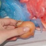 Моя мама завжди кладе цибулю в морозилку. Коли я дізнався чому, я почав робити те саме.