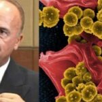 Відомий американський лікар шокує світ медицини: будь-яку форму раку можна вилікувати всього за кілька тижнів!
