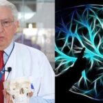 Мозок не любить жиру, тютюну та алкоголю, але йому подобається ЦЕ