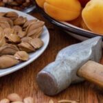 Корисні властивості абрикосових кісточок