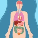 Важливі поради онколога, які допоможуть зберегти життя!