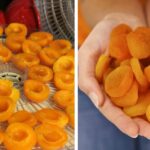 Домашня курага: смачно, натурально і корисно!