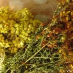 Відновила підшлункову за 3 тижні. Знаю відмінний дідівський спосіб, який рятував вже не раз