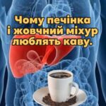 Кава: несподіваний союзник вашої печінки та жовчного міхура