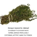 Найсильніша рослина, яку здавна використовують для зміцнення імунітету та підтримки здоров’я — дивіться в коментарях👇